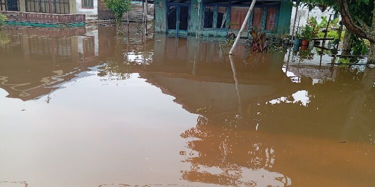 FOTO: MATAKALTENG - Kondisi banjir di Desa Baru, Kecamatan Dusun Selatan, Kabupaten Barito Selatan.