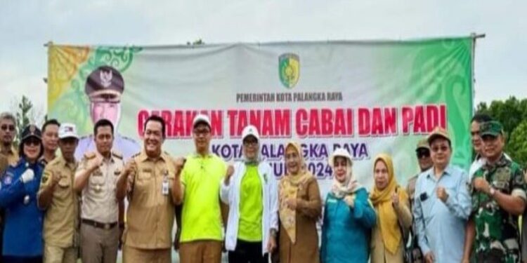 FOTO: MATAKALTENG - Kegiatan gerakan tanam Cabai dan Padi di lingkungan Pemerintah Kota Palangka Raya.