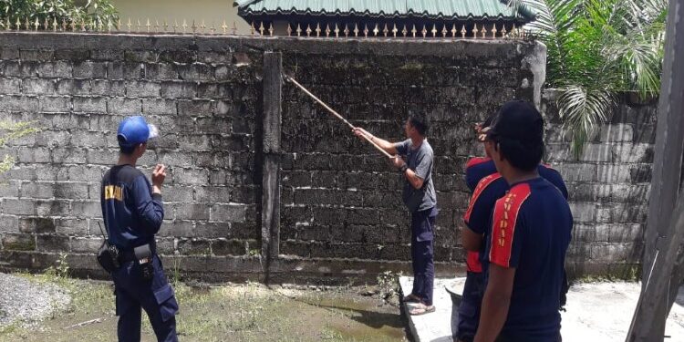 FOTO: RZL/MATAKALTENG - Tim animal rescue Call Center 112 Palangka Raya, pada saat mengevakuasi 6 butir telur ular di tembok rumah Jalan Temanggung Tilung VI.