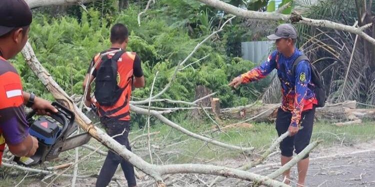 FOTO: MATAKALTENG - Tim BPBD Palangka Raya, pada saat mengevakuasi pohon akasia yang tumbang di Jalan Tjilik Riwut kilometer 16.