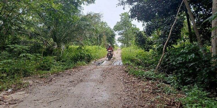 FOTO : DEVIANA/MATAKALTENG - Kondisi Jalan Kaca Piring Barat saat ini.