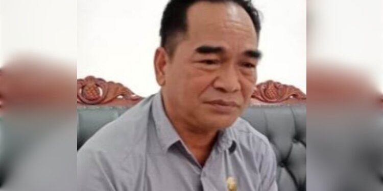 FOTO: MATAKALTENG - Tamarzam Anggota DPRD Barsel.