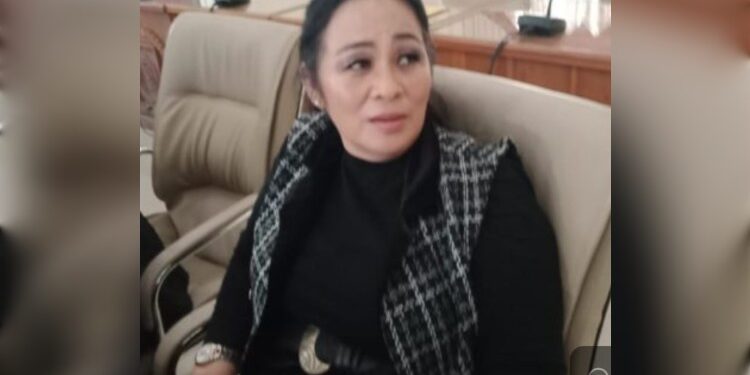 FOTO: MATAKALTENG - Ensilwatika Wijaya Ketua Komisi II DPRD Barsel.