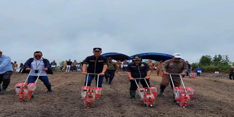 FOTO : DISKOMINFO SANTIK/MATA KALTENG - Bupati Gumas Jaya S Monong bersama Wakil Bupati Efrensia LP Umbing, ketika melakukan tanam jagung perdana di lahan milik salah satu poktan di Desa Tanjung Riu, Kecamatan Kurun, belum lama ini.
