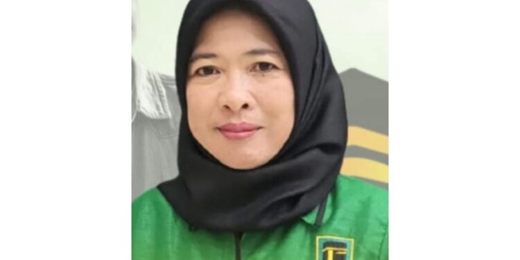 Nurul Hikmah, Anggota DPRD Barsel.