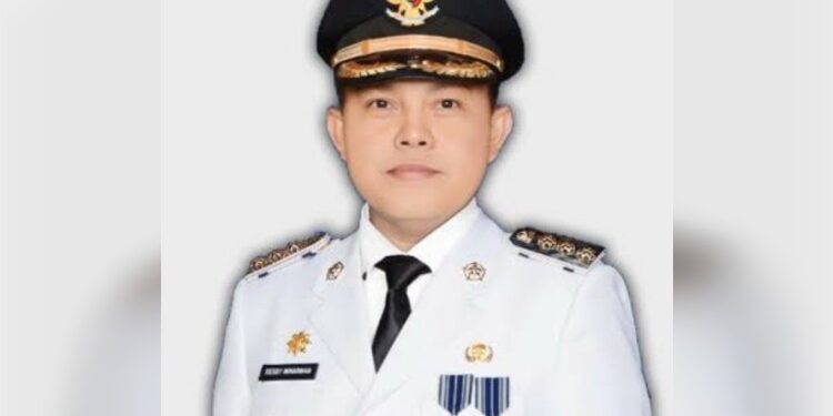 FOTO: MATAKALTENG - Penjabat Bupati Barsel, Deddy Winarwan.