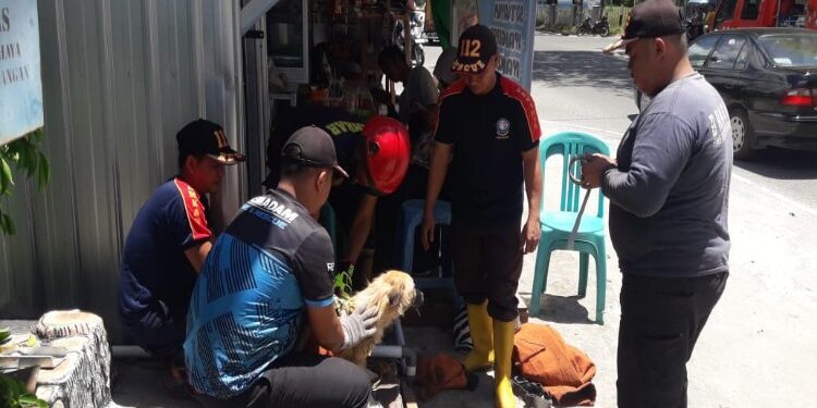 FOTO: RZL/MATAKALTENG - Tim Call Center 112 Palangka Raya, pada saat mengevakuasi seekor anjing liar.