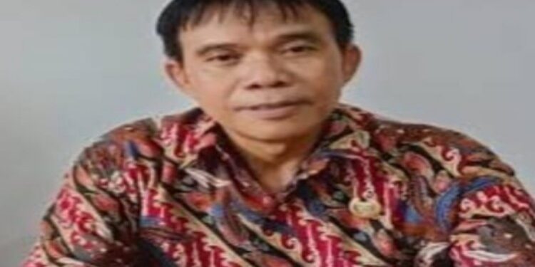 FOTO: MATAKALTENG - Ketua Komisi III DPRD Barsel, Hermanes.