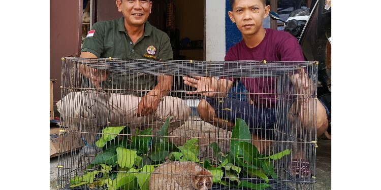 FOTO: DEVIANA/MATAKALTENG - Serah terima Kukang dari warga ke Kepala BKSDA Sampit.