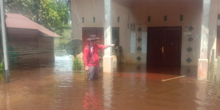 FOTO: KECAMATAN/MATA KALTENG - Kondisi banjir di Kecamatan Cempaga Hulu.