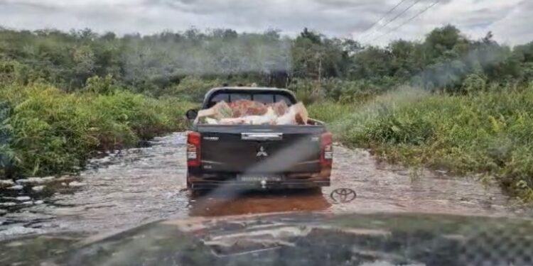 FOTO: IST/MATA KALTENG - Penyaluran bantuan untuk korban banjir menuju Desa Sungai Ubar Mandiri.