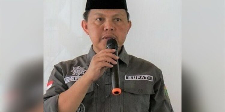 FOTO: MATAKALTENG - Pj Bupati Barsel, Deddy Winarwan.