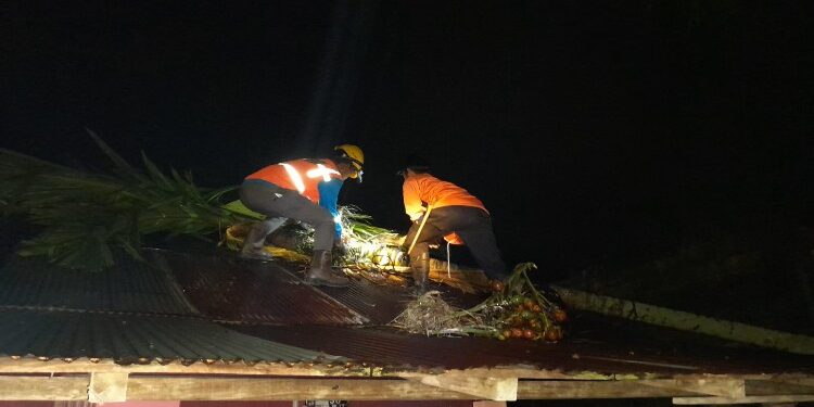FOTO: MATAKALTENG - Tim gabungan pada saat mengevakuasi pohon tumbang dari atap rumah warga.