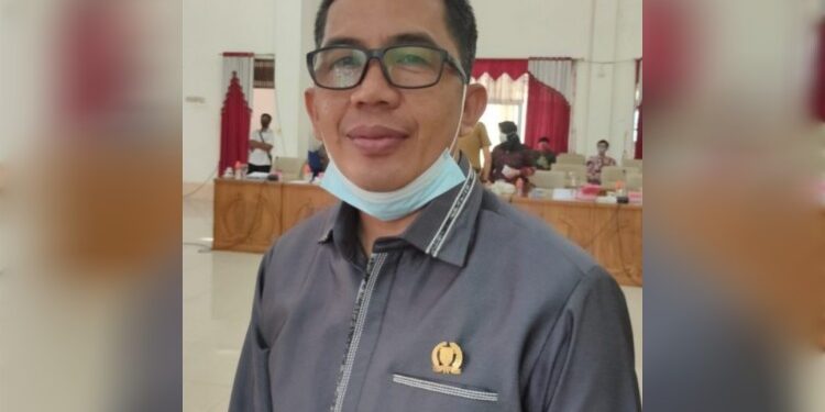 FOTO: MATAKALTENG - Anggota DPRD Barsel, Ideham.