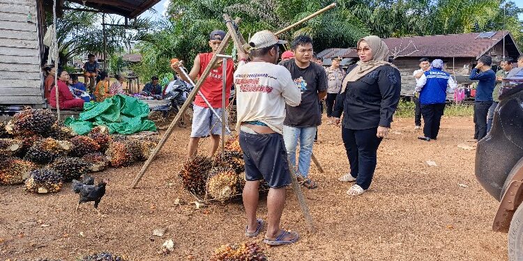 FOTO: DEVIANA/MATAKALTENG - Kondisi Desa Tehang Kecamatan Parenggean, Rabu 28 Februari 2024.