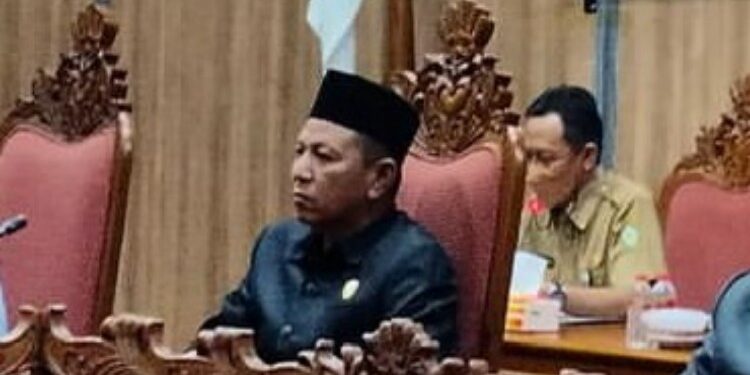 FOTO: MATAKALTENG - Wakil Ketua I DPRD Kotim, Rudianur.