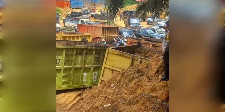 FOTO: IST/MATAKALTENG - Panen massal yang diduga terjadi di PT AKPL, Kotim beberapa waktu lalu.
