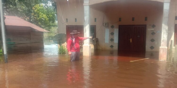 FOTO: IST/MATA KALTENG - Banjir yang terjadi di Kecamatan Cempaga Hulu.