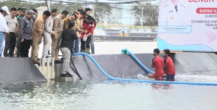FOTO : IST/MATAKALTENG - Wakil Gubernur (Wagub) Kalteng Edy Pratowo melakukan Tebar Perdana Benur Udang Vaname di Kawasan Tambak Udang/Shrimp Estate BERKAH, yang dipusatkan di Desa Sei Raja Kecamatan Jelai Kabupaten Sukamara.