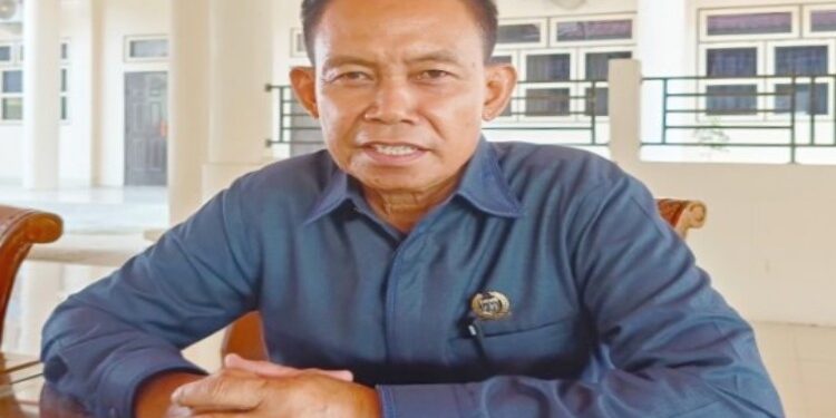 FOTO: MATAKALTENG - Anggota DPRD Barsel, H Sudiarto.