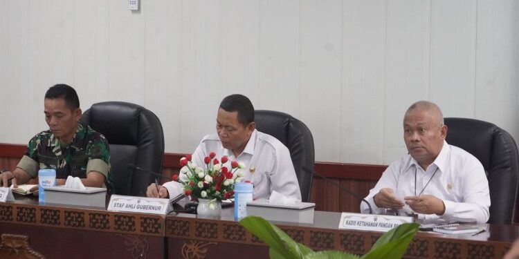 FOTO: MATAKALTENG - Staf Ahli Gubernur Kalteng Bidang Ekonomi, Keuangan, dan Pembangunan Yuas Elko saat mengikuti Rakor Pengendalian Inflasi Daerah bersama Kemendagri RI secara virtual.