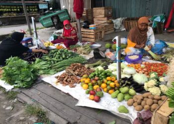FOTO: DIAN/MATA KALTENG - Pedagang sayur di pinggiran jalan menuju pasar keramat, Sampit.