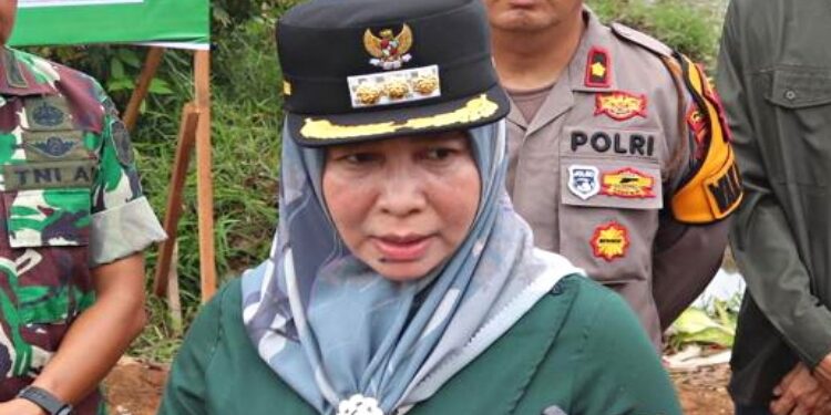 Pj Bupati Pulang Pisau, Nunu Andriani.