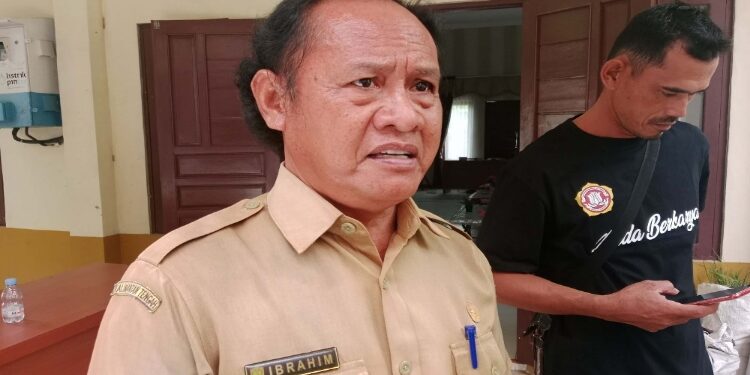 Kepala Bidang Peternakan dan Kesehatan Hewan, Pulang Pisau, Ibrahim.