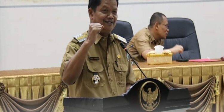 Pj Bupati Seruyan, Djainuddin Noor.
