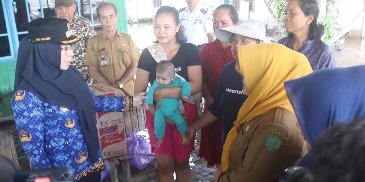 FOTO : AND/MKT - Pj Bupati Pulang Pisau, Nunu Andriani saat menyerahkan bantuan sembako korban banjir Tumbang Nusa.