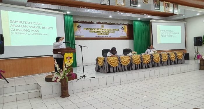 FOTO : DISKOMINFO SANTIK/MATA KALTENG - Wakil Bupati Gumas Efrensia LP Umbing bersama Kepala Bapperida Yantrio Aulia, serta narasumber dari BSKDN Kemendagri Ristiyan Widiaswati, memberikan arahan pada kegiatan bimtek inovasi daerah tahun 2024, di aula kantor bapperida, Rabu, 20 Maret 2024.