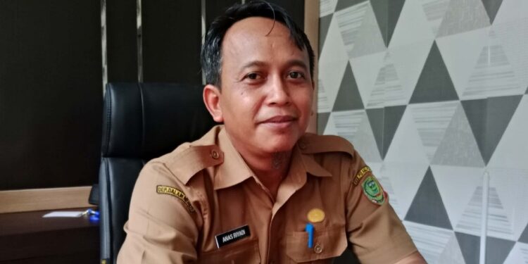 Kabid Tata Ruang, Dinas PUPR Pulpis, Anas Riyadi.