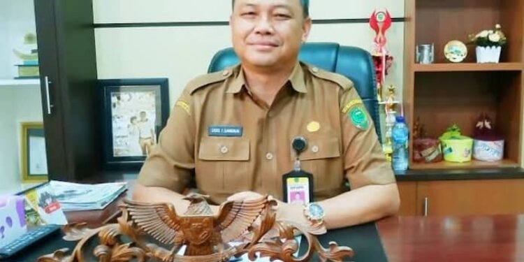 Kepala Dinas PUPR Pulpis, Usis I Sangkai.