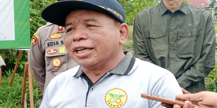 Kepala Dinas Pertanian Pulang Pisau, Godfridson.