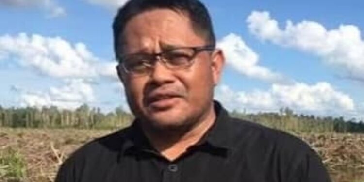 Kepala DPMD Pulpis, Herman Wibowo.