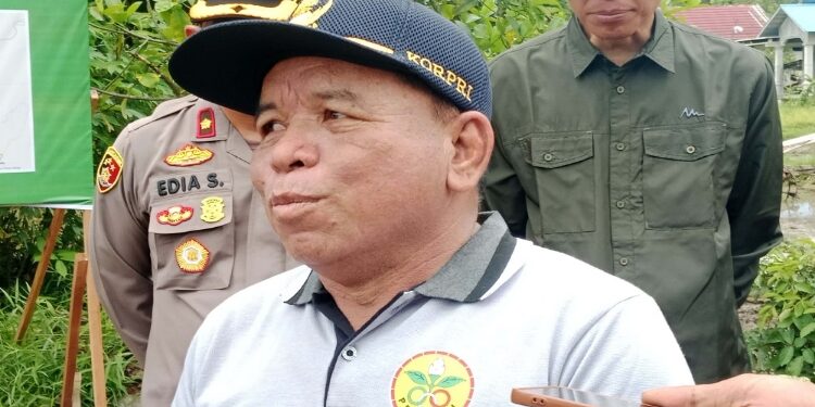 Kepala Dinas Pertanian Pulang Pisau, Godfridson.