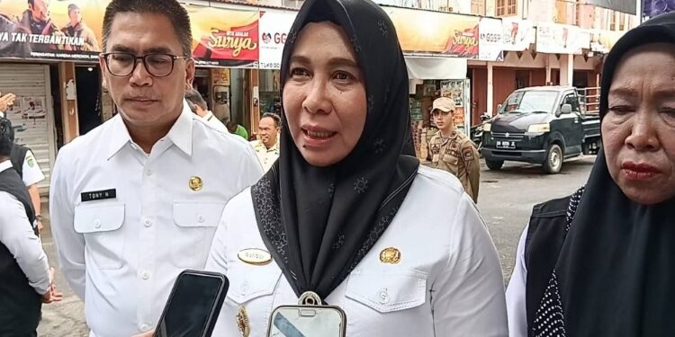 Pj Bupati Pulang Pisau, Nunu Andriani.