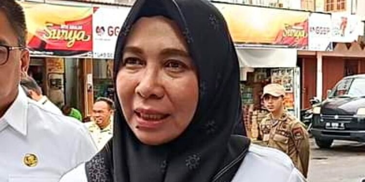 Pj Bupati Pulang Pisau, Nunu Andriani.