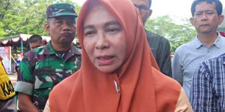 Pj Bupati Pulang Pisau, Nunu Andriani.