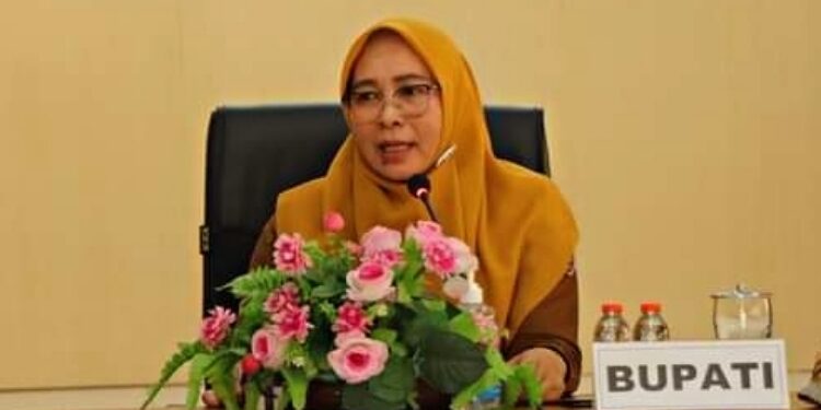 Pj Bupati Pulang Pisau, Nunu Andriani.