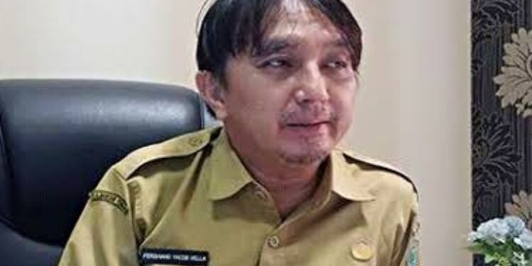 Kepala BKAD Pulang Pisau, Ferdinand Yacob Vella.