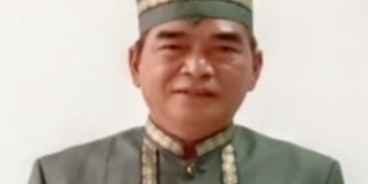 Tamarzam Ketua DAD Barsel.
