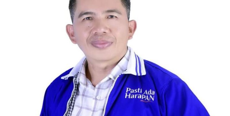 Ketua DPD PAN Barsel, Ideham