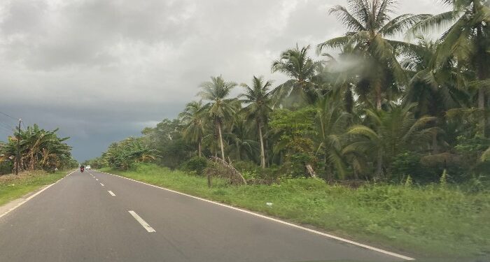 FOTO: DIAN/MATA KALTENG - Daerah penghasil kelapa di Kecamatan Mentaya Hilir Selatan, Kotim.
