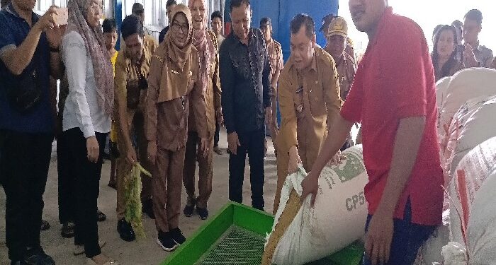 FOTO : DEVIANA/MATAKALTENG - Bupati Kotim saat uji coba mengeringkan gabah, Senin 22 April 2024.
