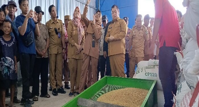FOTO : DEVIANA/MATAKALTENG - Kadis Ketahanan Pangan dan Pertanian Sepnita saat mendampingi Bupati Kotim Halikinnor meninjau bangunan Vertical Dryer, Senin 22 April 2024.