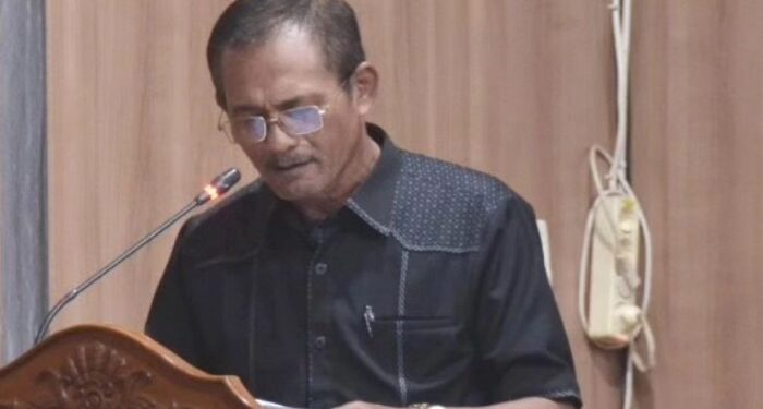 Foto: MATAKALTENG - Anggota DPRD Kotim, Pardamean Gultom.