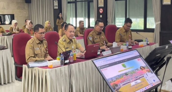 Foto : MATAKALTENG- Pj. Bupati Barsel Deddy Winarwan saat paparan di Kemendagri.