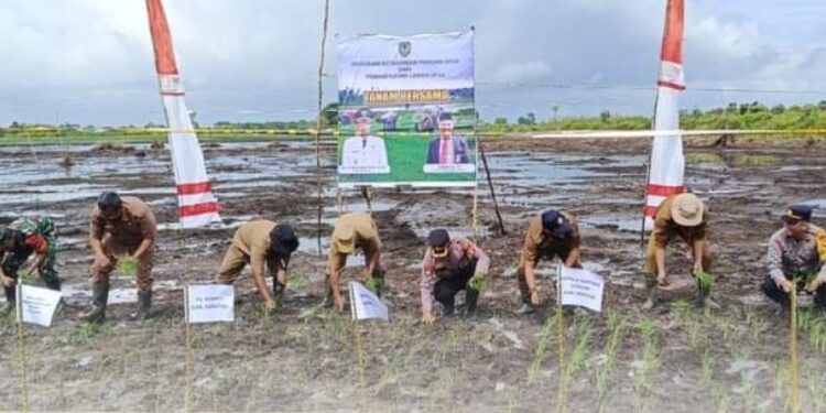 FOTO: PROKOM SERUYAN/MATA KALTENG - Sejumlah pihak saat melakukan tanam bersama secara simbolis dalam gerakan tanam padi bersama di Desa Pematang Limau, Kecamatan Seruyan Hilir, Senin 13 Mei 2024.