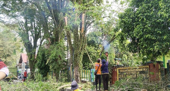 FOTO: AGUS /MATAKALTENG - Pemangkasan pohon di Jalan Ayani Kota Sampit